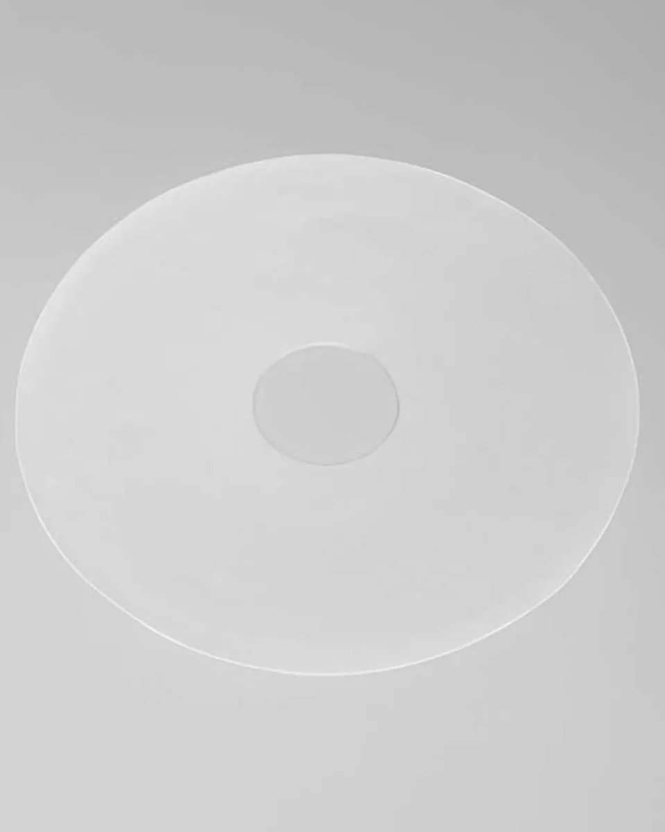 Amoena Mammilla Circle Silicone Scar Patch - Clear