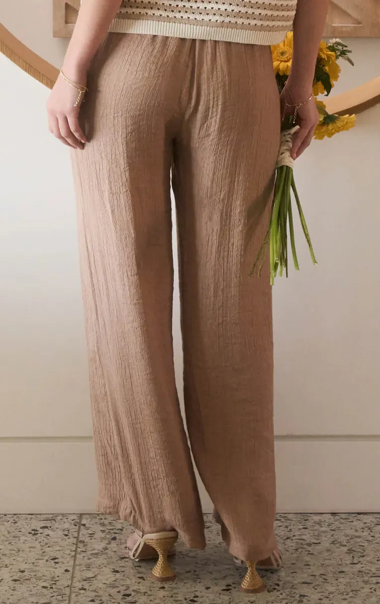 Arrival Pants