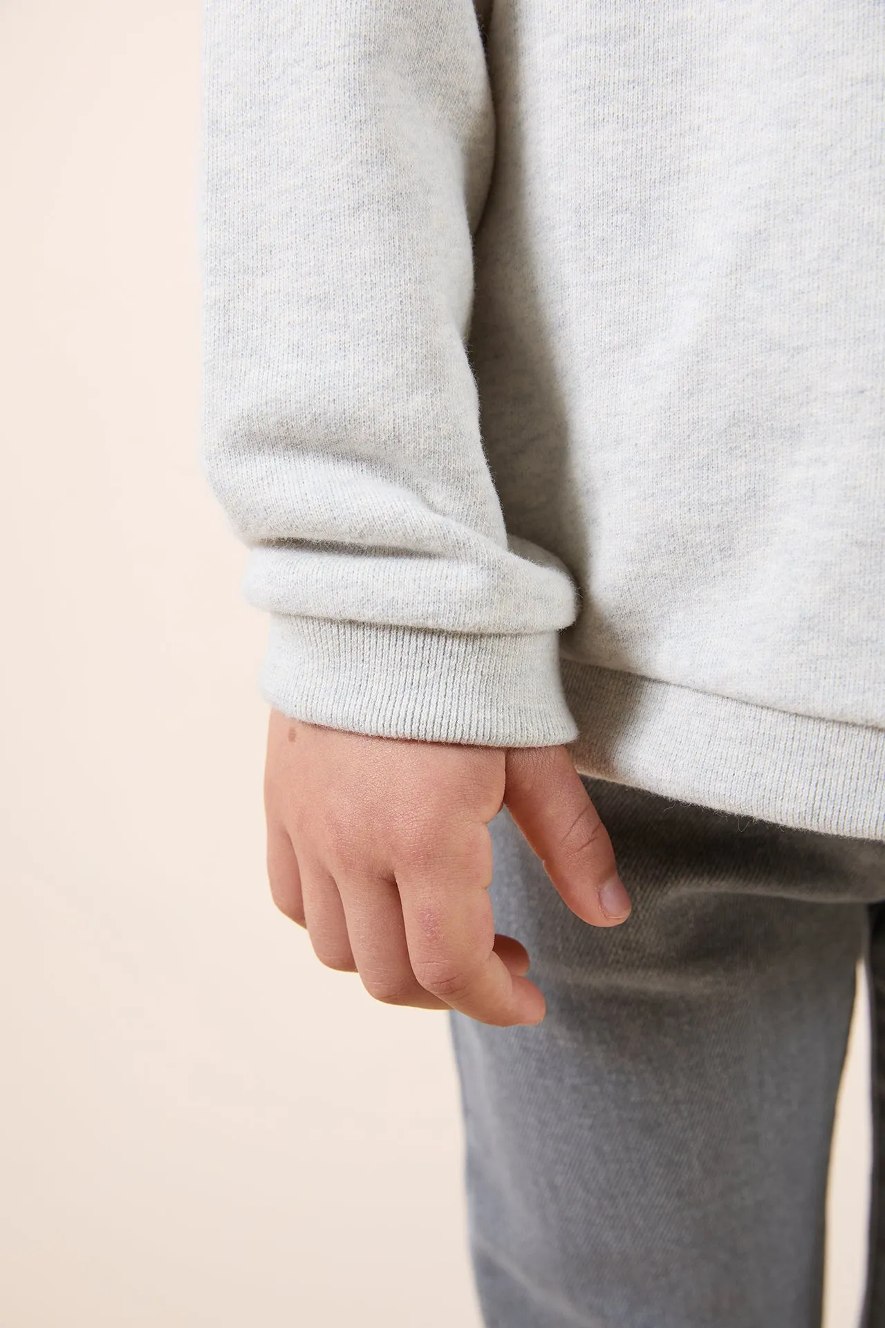 BABY EXPLORATEUR EN HERBE SWEAT 1 - Gris chiné