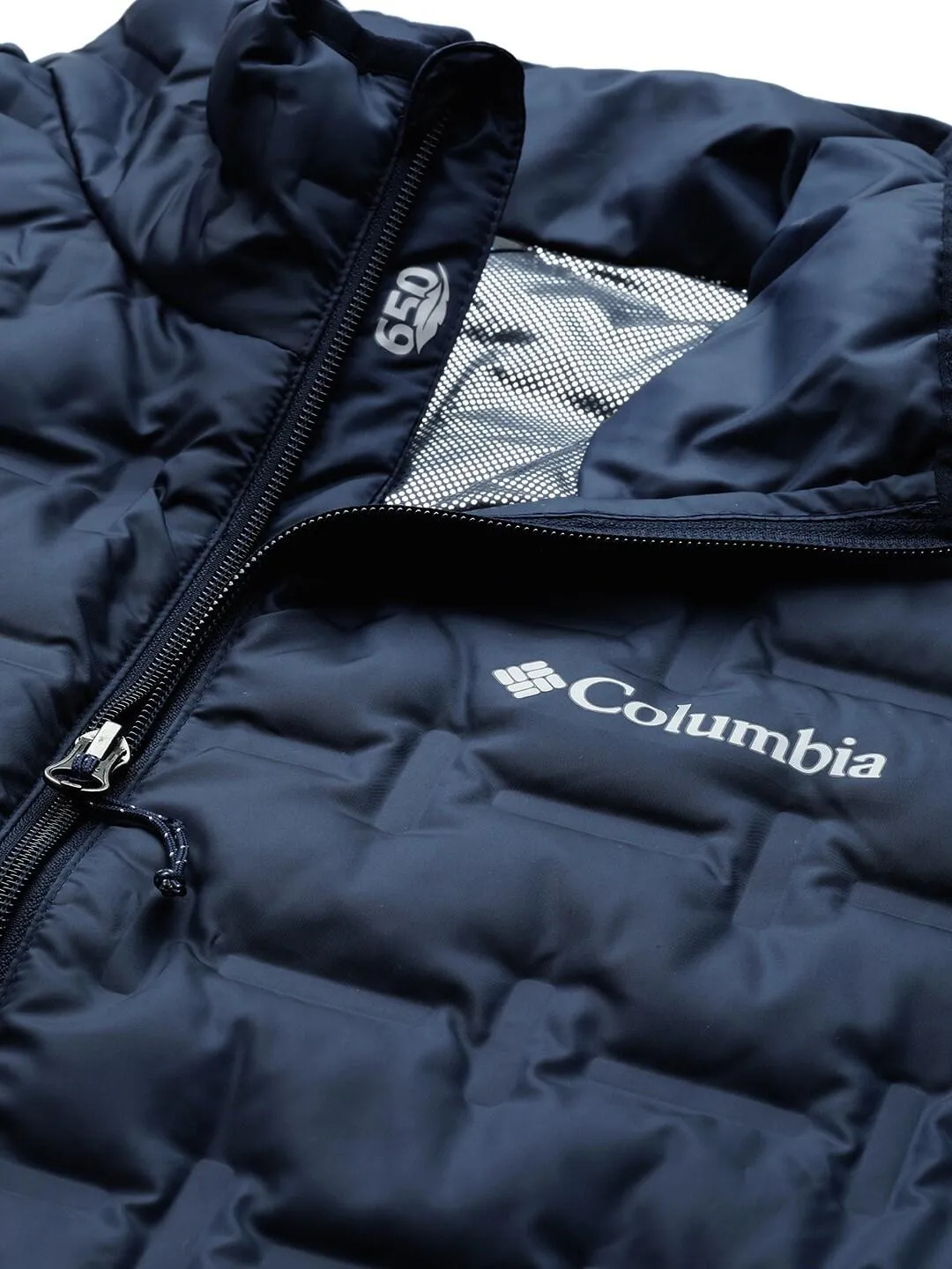 Columbia Men Blue Delta Ridge Down Vest