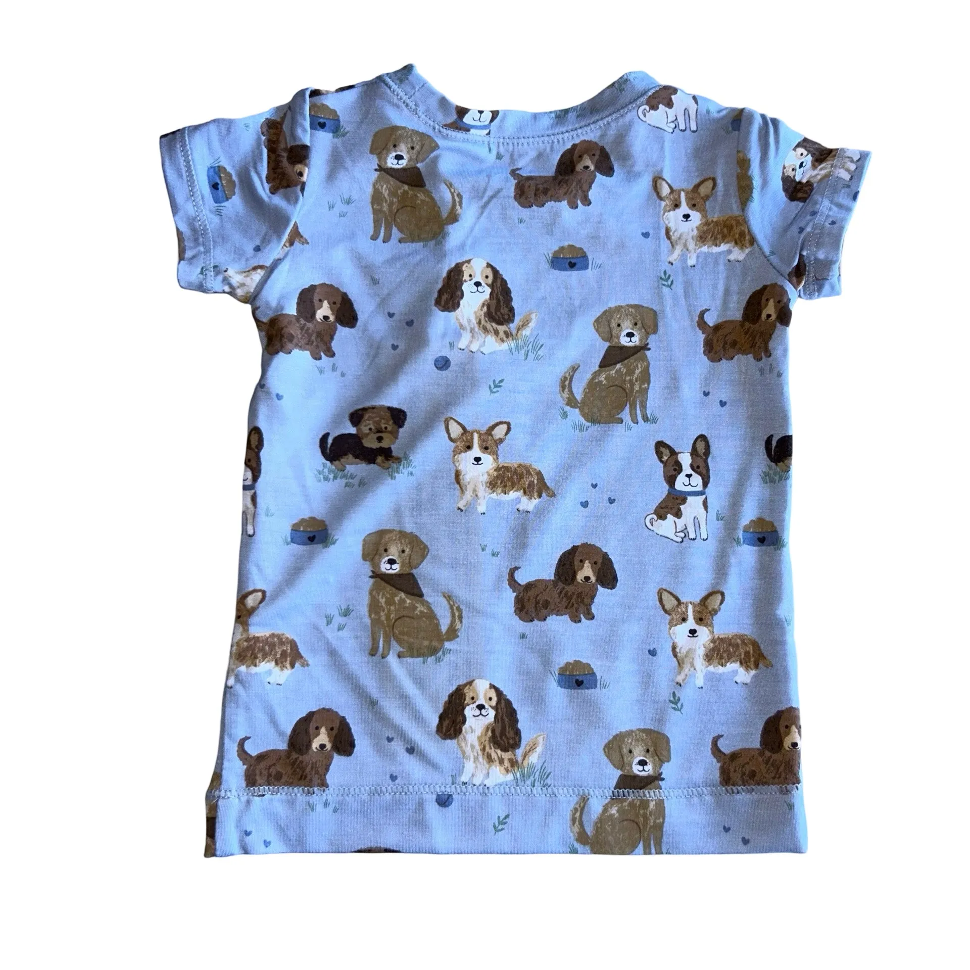 Loungewear Set | Blue Best Friend Dogs