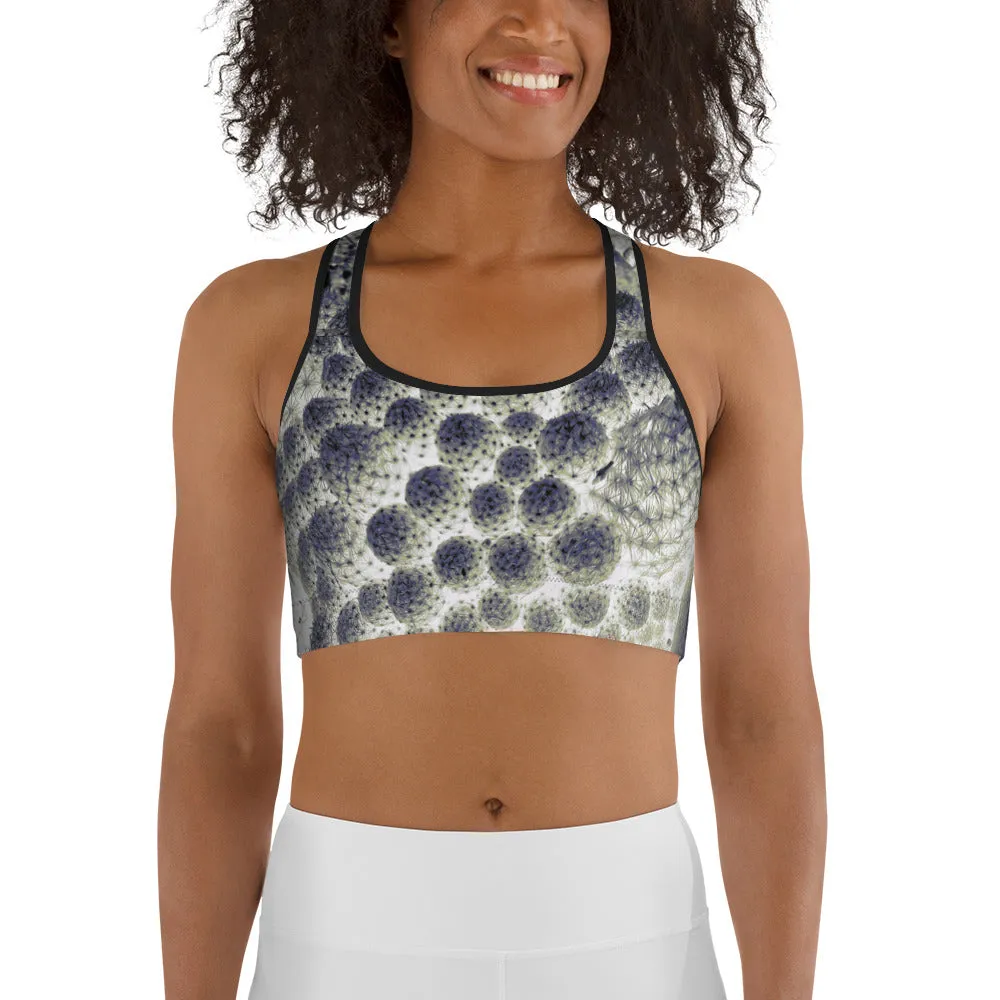 Otherworldly Sports Bra