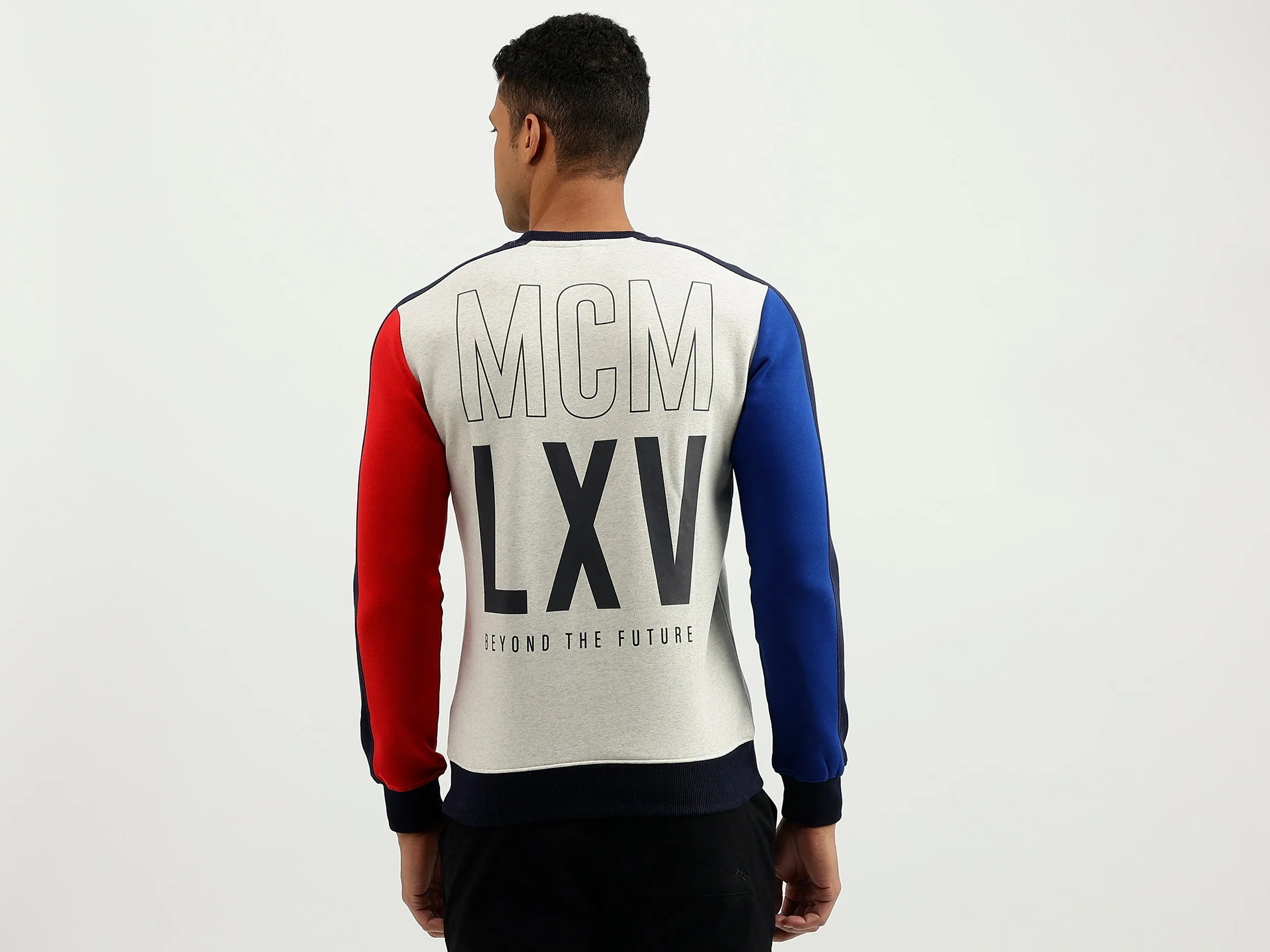 Regular Fit Round Neck Colourblocked Sweatshirt