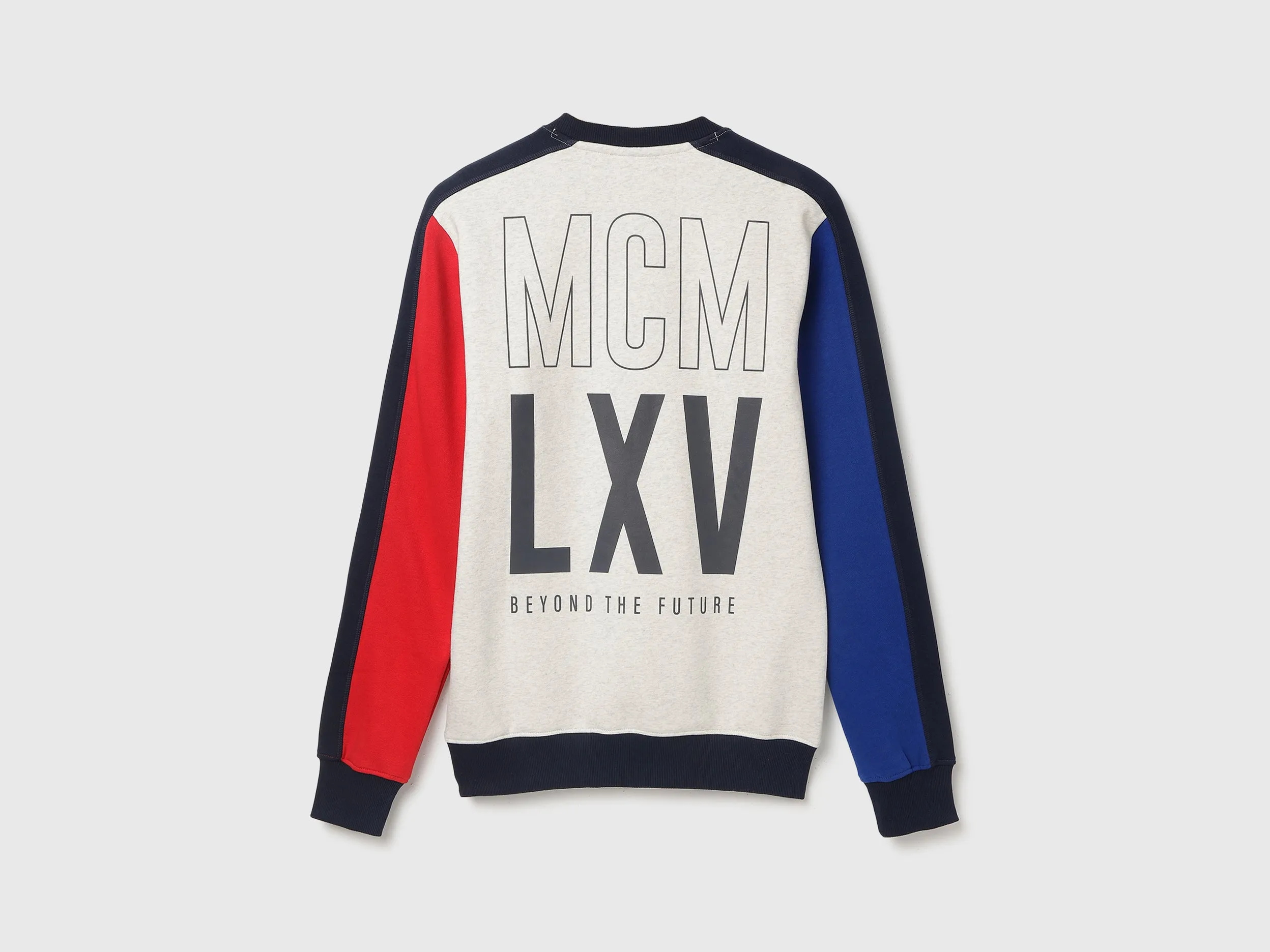Regular Fit Round Neck Colourblocked Sweatshirt