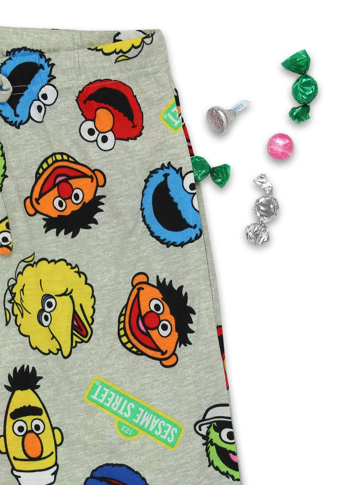 Sesame Street Pajama Pants Family Sleepwear