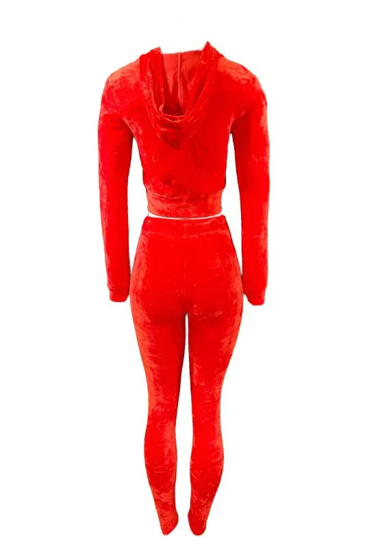 Velour Zipper Hoodie and Tights Set